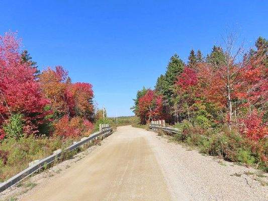 Nova Scotia - West Side Country Harbour - 52-Hekta