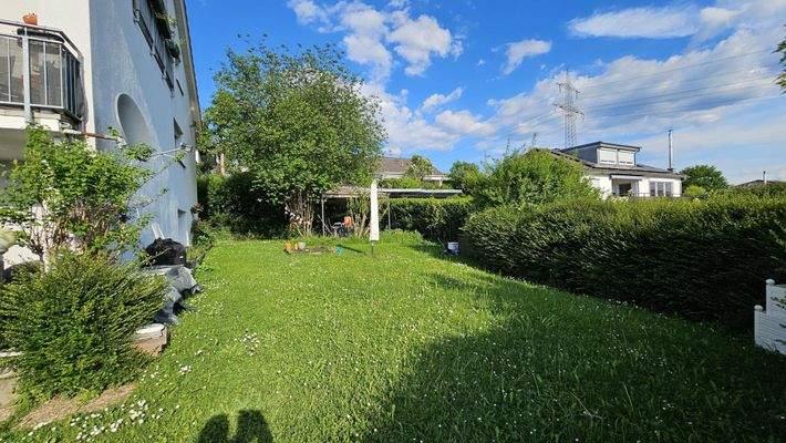 Rasenfläche Südseite