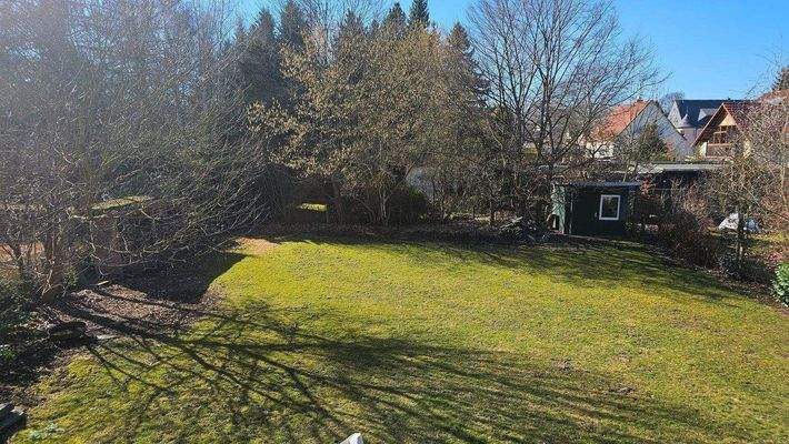 Blick in den Garten