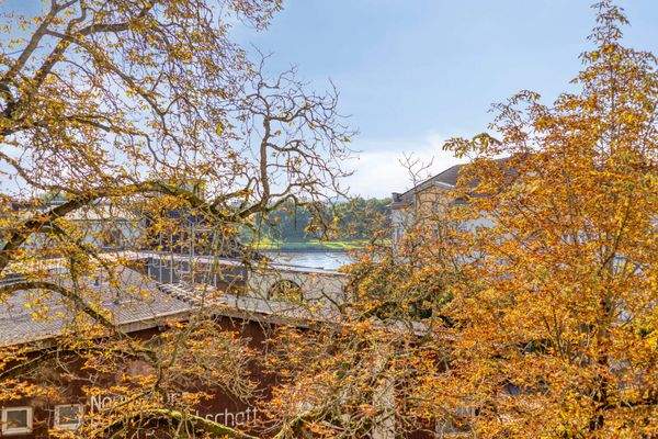 Aussicht mit Rheinblick