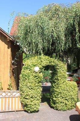 EFH Sadisdorf außen Web (19).jpg