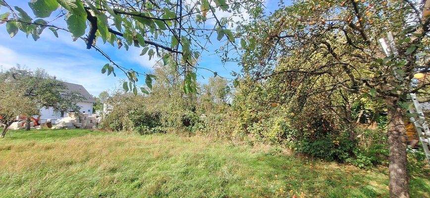 Im Sommer mit Bewuchs