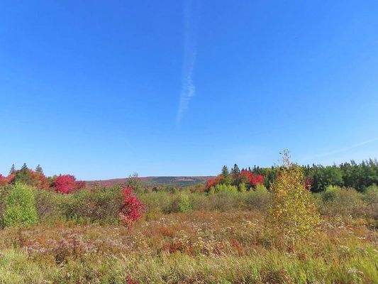 Nova Scotia - 25 Hektar großes Areal mit ehemalige