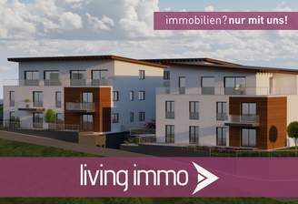1Vorlage Startbild Normal Logo und Fenster living immo Farbe