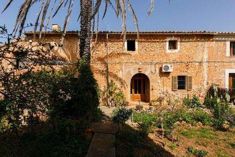 Santa María del Camí Häuser, Santa María del Camí Haus kaufen