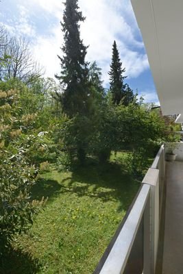 Blick in den Garten