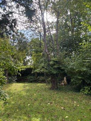 Grundstück Ansicht 2