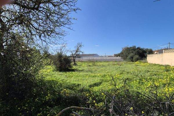 Attraktive Parzelle mit guter Erreichbarkeit