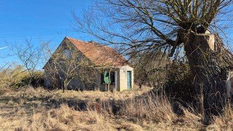 Uckerfelde Häuser, Uckerfelde Haus kaufen