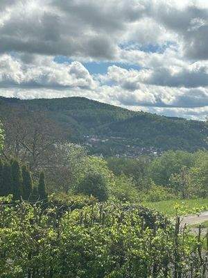 Ausblick auf Biedenkopf