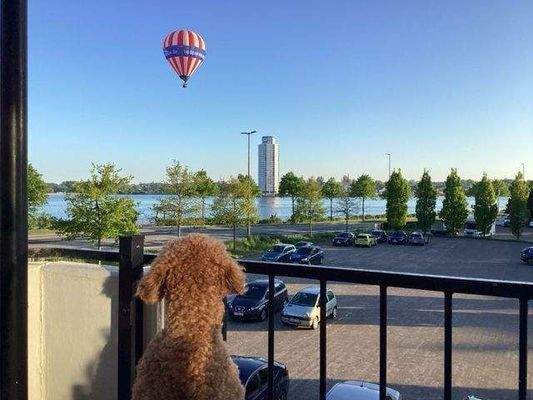 Südwest Balkon mit Schleiblick