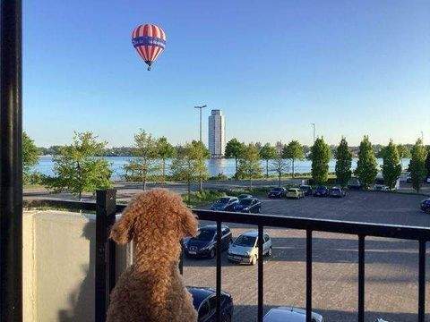 Schleswig Wohnungen, Schleswig Wohnung kaufen