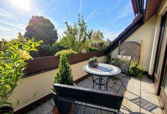 001_Tolle Dachterrasse1