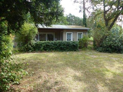 Dahlen Häuser, Dahlen Haus kaufen