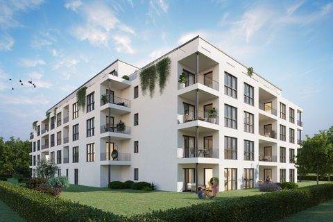 Euskirchen Wohnungen, Euskirchen Wohnung mieten