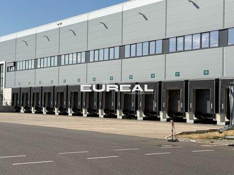 Unna Halle, Unna Hallenfläche