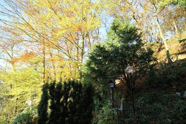 Ausblick Küchenfenster