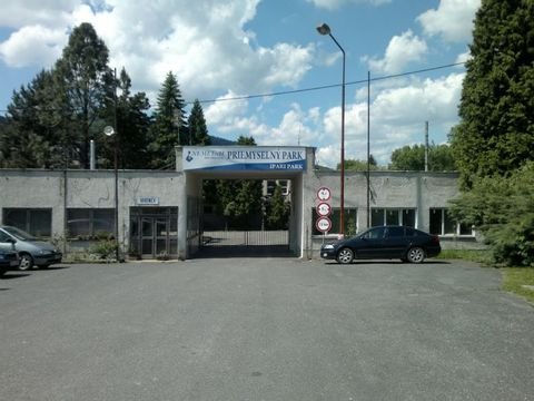 Cinobaña Halle, Cinobaña Hallenfläche