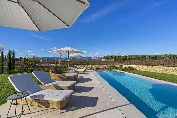 Blick vom Pool Richtung umgebender Natur