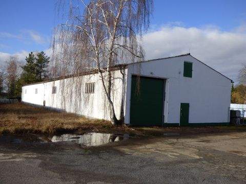 Groß Kreutz (Havel) Halle, Groß Kreutz (Havel) Hallenfläche