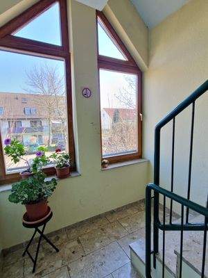 WhatsApp Image 2026-03-12 at 09.42.05