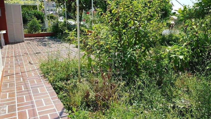 Glücksgefühle beginnen auf der grandiosen Terrasse