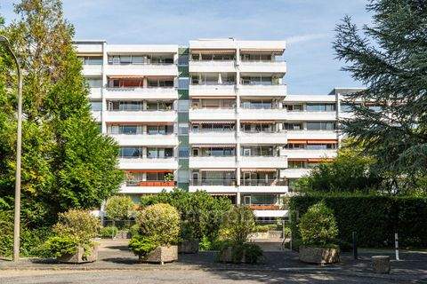 Köln Wohnungen, Köln Wohnung kaufen