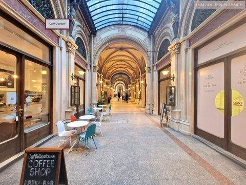 Wien Ladenlokale, Ladenflächen 