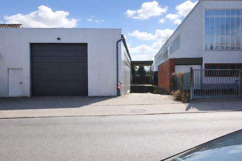 Münster Halle, Münster Hallenfläche