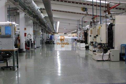 Pforzheim Halle, Pforzheim Hallenfläche