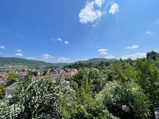 Aussicht Balkon Richtung West
