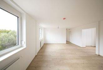 großzügiger Wohn-Essbereich