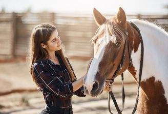 Deine Pferde in neuer Heimat