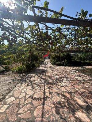 WhatsApp Image 2024-09-06 at 10.28.47 (5).jpeg