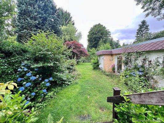 Gartenimpressionen