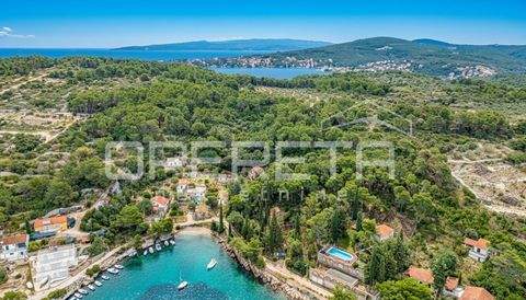 Solta Bauernhöfe, Landwirtschaft, Solta Forstwirtschaft