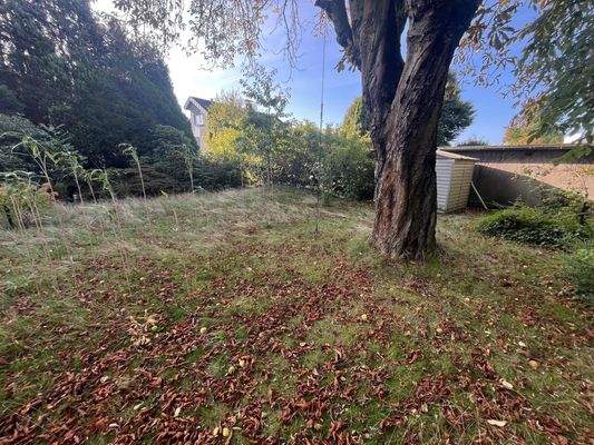 Der Garten (Baumbestand)