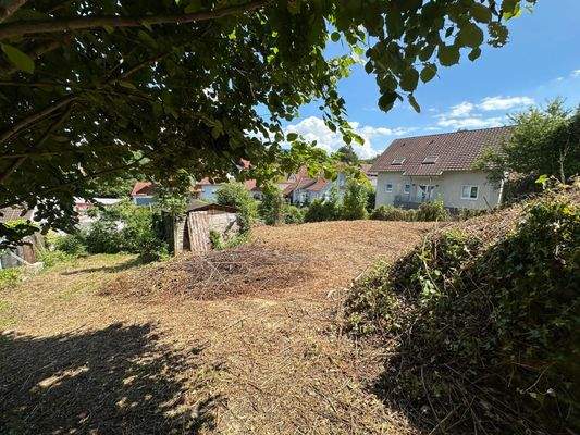 Grundstück Bild III.jpg