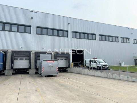 Düsseldorf Halle, Düsseldorf Hallenfläche