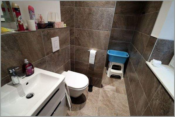 Gäste-WC mit Dusche