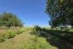Garten (4)