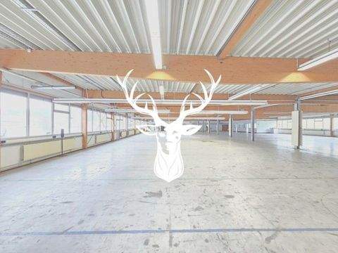 Wehingen Halle, Wehingen Hallenfläche