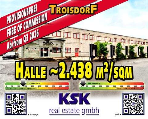 Troisdorf Halle, Troisdorf Hallenfläche