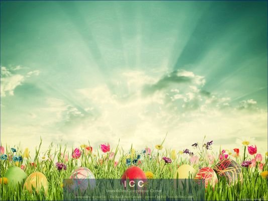 ICC - Immobilien Competence Center Pfarrkirchen
