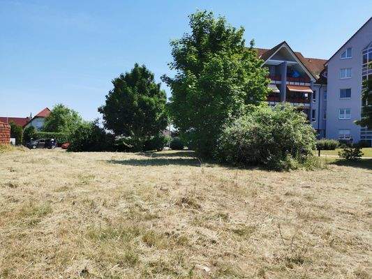 Blick Richtung Einfahrt