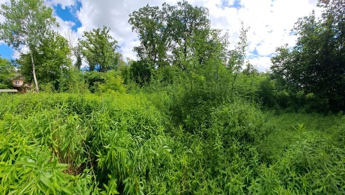 Mitte Grundstück zum Wald