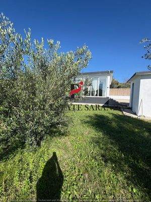 WhatsApp Image 2025-10-30 at 11.44.13 (4).jpeg