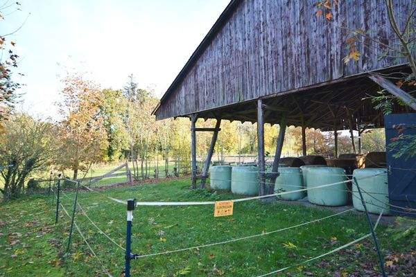 Resthof-Ostholstein (14 von 46).jpg