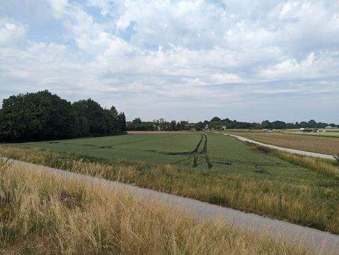Straubing Bauernhöfe, Landwirtschaft, Straubing Forstwirtschaft