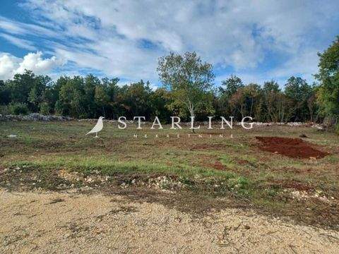 Peruski, Kavran, Pavicini Bauernhöfe, Landwirtschaft, Peruski, Kavran, Pavicini Forstwirtschaft